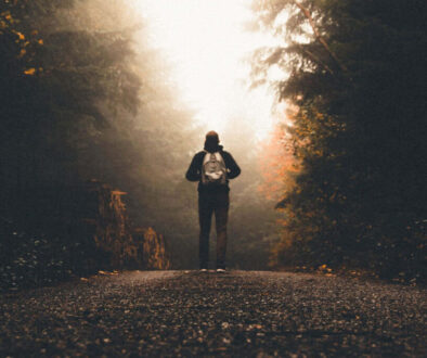 the-adventurer